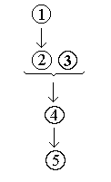 Diagram of argument shows premise (1) 
to conclusion (2) then to conclusion (3) with 
premise (4) and concludes in (5).