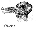 The duck-rabbit ambiguous image, Wikipedia.