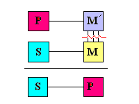 Diagram Indicating Different Middle Terms