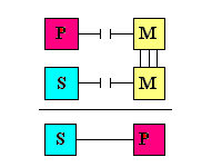 Diagram Illustrating the Fallacy of Exclusive Premisses